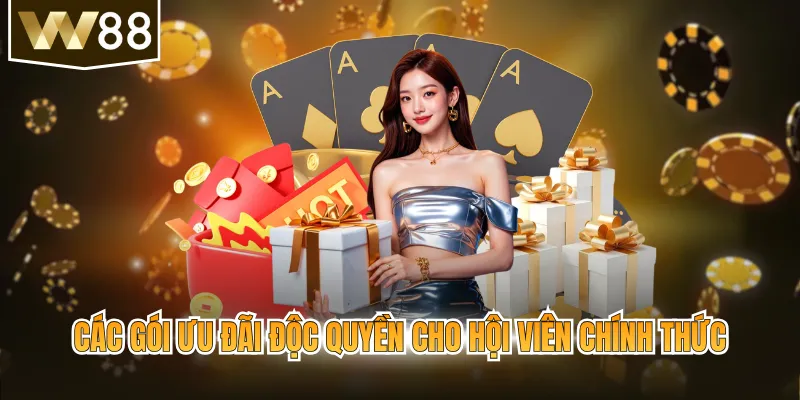 Các gói ưu đãi độc quyền cho hội viên chính thức