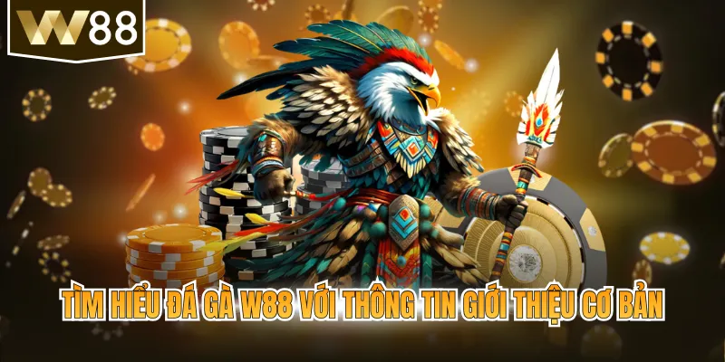 Tìm hiểu đá gà W88 với thông tin giới thiệu cơ bản